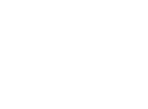 nzoi